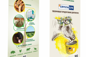 Ролл-апы для выставки