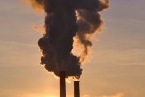 Работа 3303014