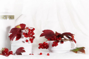 Работа 3332488