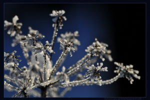 Работа 3303000