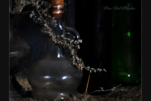 Работа 3302997