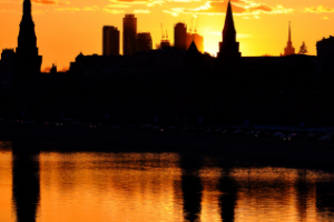 Работа 3302982