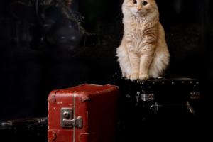 Позвоните своим ...близким