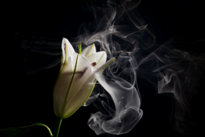 Работа 3303104