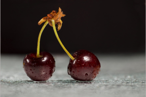 Работа 3303093