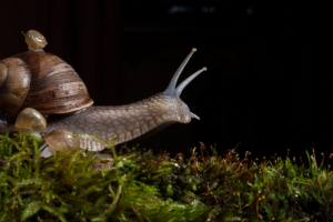 Работа 3303013