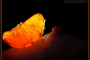 Работа 3303069