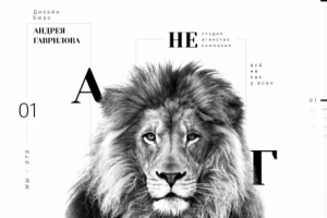 Дизайн - Бюро Андрея Гаврилова