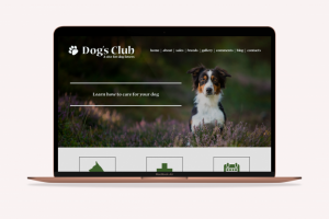 Тренировочный сайт