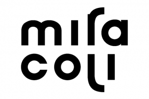 Логотип для игры Miracoli. Часть дипломной работы.