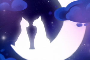 Коты на луне