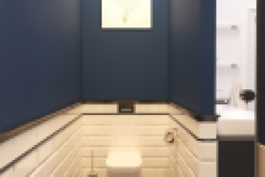 Стиль Лофт. Подмосковье. Ванна