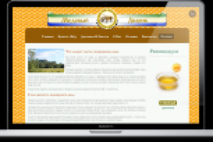 Что следует знать о башкирском меде