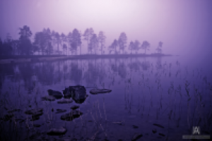 Карельские туманы