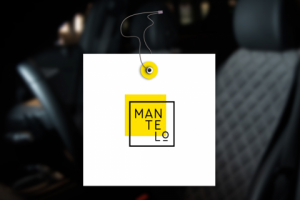 Логотип Mantelo