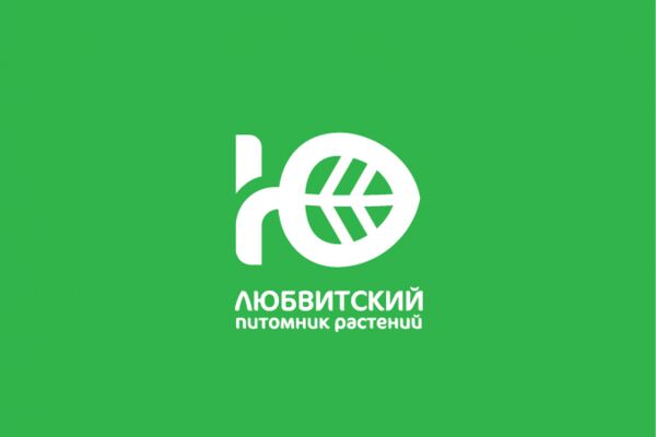 img3738485.png