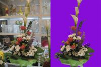 img2709576.png