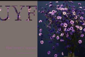 Визитная карточка