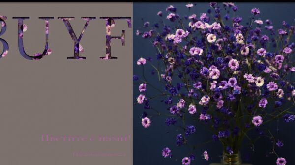 img4426666.png