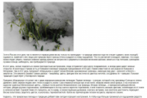 "Первый день весны"