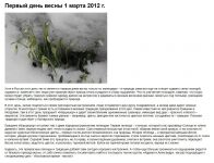 img1080819.png