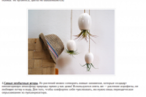 Растения: новый подход