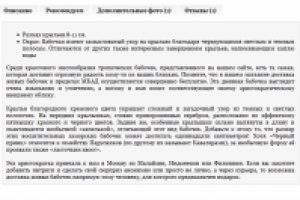 Черный принц (Papilio lowi)