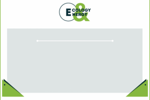 Дизайн шаблона фирменной презентации