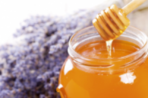 Буклет-каталог "Русский мёд"