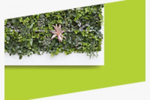 Разработка дизайна сайта для компании, реализующей живые стены