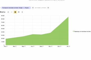 +67 000 посетителей в мес. для интернет-магазина охоты и рыбалки