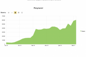 +55 000 посетителей для интернет-магазина проф. инструментов