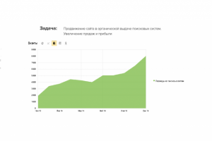 Продвижение коммерческого сайта услуг