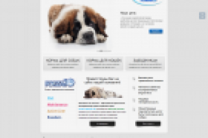 Сайт продажи кормов для животных