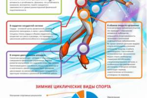 Зимний спорт