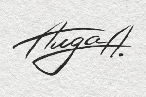 Логотип Аида