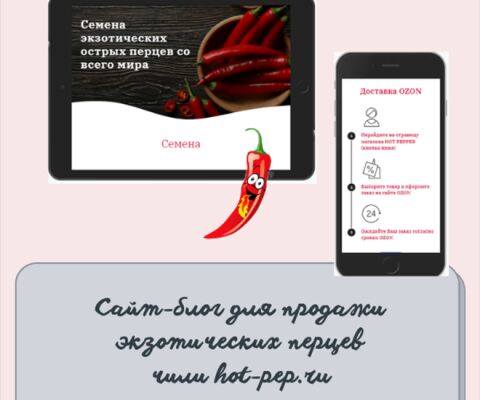 img4378424.png