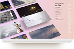 Презентация «Prespective Pro»