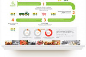 Презентация «Ферма»