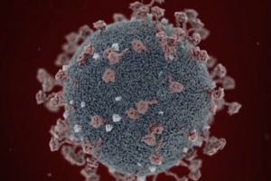 Corona Virus