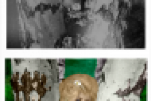 старое фото в цветное