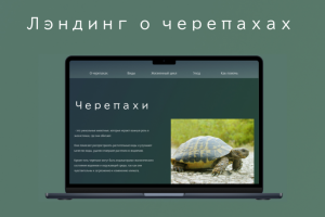 Лэндинг о черепахах