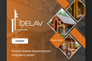 Delav company