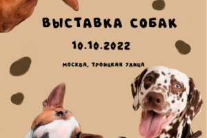 Афиша для выставки собак