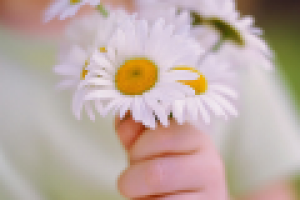 Стихотворение "Доброе утро"