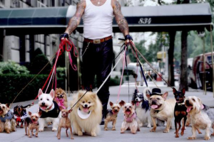 Воронка продаж для услуг догситтера