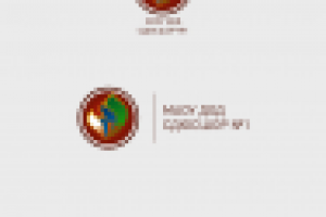 Спортивная школа №1. Тюмень