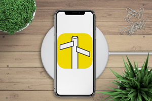 Мобильное приложение ios ArtPassport