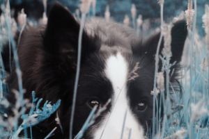 Работа 4426920