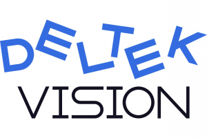 Deltek vision